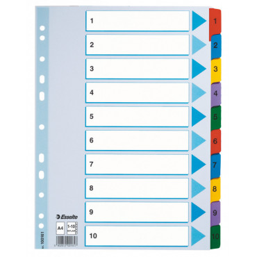 Esselte kartonkirekisteri Mylar 1-10 | Euro Toimistotukut Oy