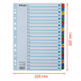 Esselte kartonkirekisteri Mylar 1-20 | Euro Toimistotukut Oy