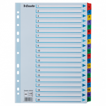 Esselte kartonkirekisteri Mylar 1-20 | Euro Toimistotukut Oy