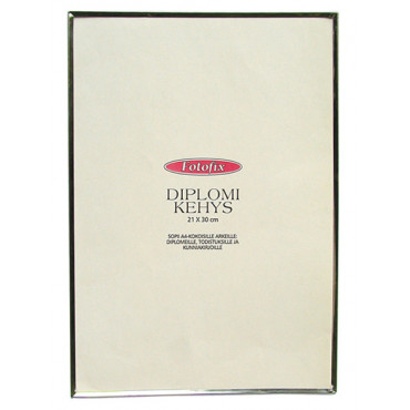 Diplomikehys 21 x 30 cm hopea | Euro Toimistotukut Oy