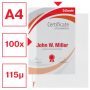 Esselte kansiotasku A4 115 my Heavy Duty (100) | Euro Toimistotukut Oy