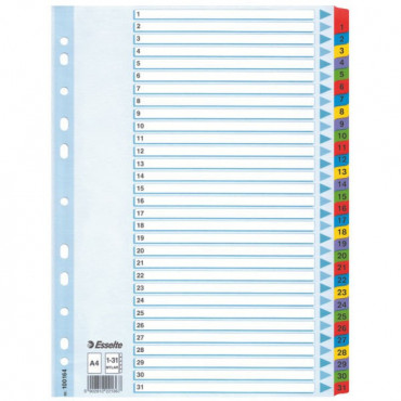 Esselte kartonkirekisteri Mylar 1-31 | Euro Toimistotukut Oy