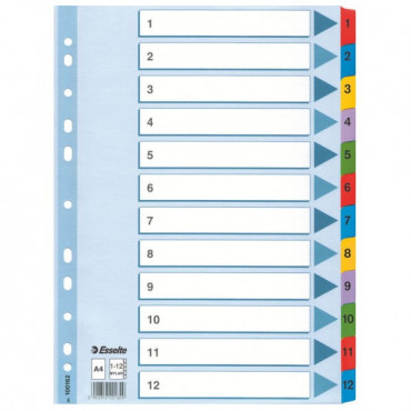 Esselte kartonkirekisteri Mylar 1-12 | Euro Toimistotukut Oy
