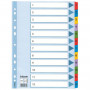 Esselte kartonkirekisteri Mylar 1-12 | Euro Toimistotukut Oy